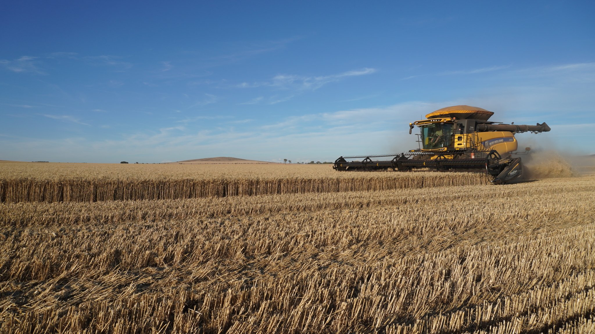 Handcrafted fabric wheat bag heat packs made from natural farm-grown wheat